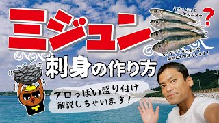 おきなわの魚　「ミジュン」って知ってますか？　ミジュンの刺身の作り方教えます！プロっぽい盛り付けも解説。