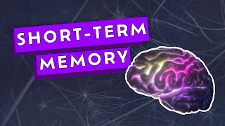 ADHD and Short-Term Memory