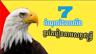 7 ចំណុចដែលយេីងគួរតែរៀនតាមសត្វឥន្ទ្រី / 7 Things We Should Learn From The Eagles