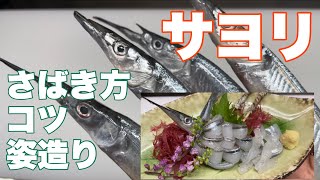 【サヨリのお刺身】さばき方/姿造り/皮焼き/刺身の作り方