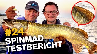 Große Barsche, schöne Hechte – 16g SpinMad Jigmaster im Test 🔥🎣🦦