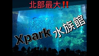 Mr.J 桃園Xpark水族館! $550元可以看到什麼? LET'S CHECK OUT THE NEWEST Xpark AQUARIUM in TAOYUAN!