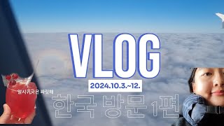 Vlog|한국 놀러가는 브이로그|요아정, 닭발, 스텔라 떡볶이, 간장게장, 파스타, 스테이크 등등|베르사유의 장미 뮤지컬 관람|한국 카페 최고|하지만 가장 많이 간 곳은 병원