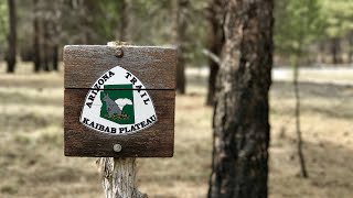 Kaibab Plateau Central Passage: Arizona Trail