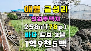 #애월읍토지 #금성리 #바다도보2분 #전원주택지 #단독주택지 #건축가능