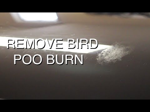 DIY: Wet-Sand Bird Poo Stain from Black Paint DIY: Wet-Sand Bird Poo Stain from Black Paint