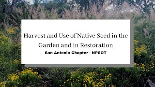 Harvest and Use of Native Seed in the Garden and In Restoration