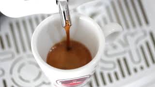 Caffè in Cialde e Capsule compatibili Etnacaffè