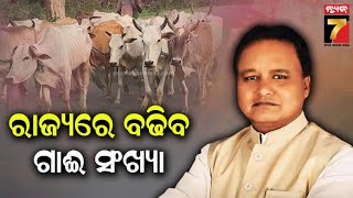 ରାଜ୍ୟରେ ବଢିବ ଗାଈ ସଂଖ୍ୟା, ସୂଚନା ଦେଲେ ମତ୍ସ୍ୟ ଓ ପଶୁ ସମ୍ପଦ ମନ୍ତ୍ରୀ