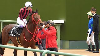 【武豊】ソウテンに騎乗する瞬間をチラ見する武幸四郎が、ドグマ戸崎でオープン入りを目指す！レース後はドグマの頭をポンポン撫でて労う