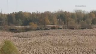 Lake County coroner to determine cause of death after human remains were found in woods