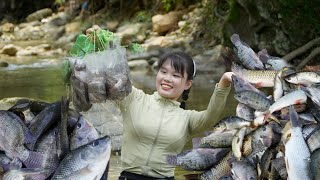 Salmon trap using plastic cans, super unique bamboo tree of an 18 year old rural girl