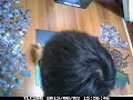 northern lights heye 1000pcs puzzle time lapse 極光 拼圖縮時攝影