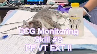 PF VT Ext: II Skill 8