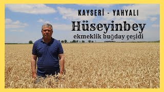 Kayseri'de Hüseyinbey Rüzgarı Esmeye Devam Ediyor !