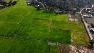 [32] Fly Drone View on the Fields - ចុងសប្ដាហ៍លំហែខួរក្បាលបង្ហោះដ្រូនមើលវាលស្រែ - Relax Adventure