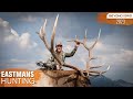 My Monster 7x7! Bow Hunting the Elk Rut | Beyond the Grid by Eastmans'