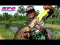 วัยรุ่นบุษบา ลุยนาน้ำท่วม กบยางบุษบา ตกปลาช่อนข้างทาง bpo ตกปลาช่อน snakehead fishing thailand