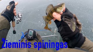 Žieminis spiningas