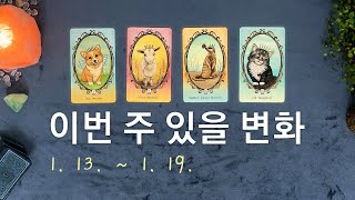 [타로/주간운세] 1월 셋째 주 종합운(1. 13. ~ 1. 19.)