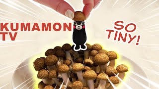 【Kumamon TV】Kumamon emerges from strange places..