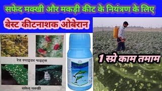 सफेद मक्खी और मकड़ी कीट के नियंत्रण की बेस्ट कीटनाशक ओबेरान (oberon insecticide)