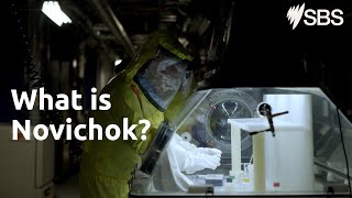 What is Novichok? | The Sailsbury Poisonings | SBS and On Demand