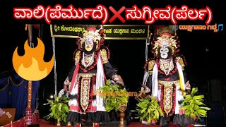 ವಾಲಿ ವಧೆ-3|ಚಿನ್ಮಯ ಭಟ್ ಕಲ್ಲಡ್ಕ|ಪೆರ್ಲ ಜಗನ್ನಾಥ ಶೆಟ್ಟಿ|ಪೆರ್ಮುದೆ ಜಯಪ್ರಕಾಶ್ ಶೆಟ್ಟಿ