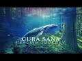 Cura Sana - Powerful Healing Journey - Cura Sana | Calm Whale