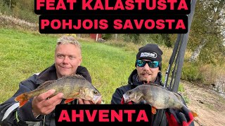 Pottukoira kalastaa- jakso 128- ahventa feat kalastusta pohjois savosta