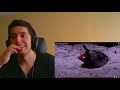 zefrank1 True Facts Killer Surfing Snails Reaction