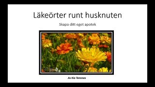 Läkeörter runt husknuten del 3