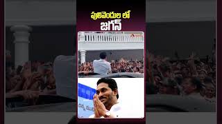 పులివెందుల లో జగన్ ...#YSJagan #pulivendula #APNews #TeluguLatestNews #AndhraPradesh