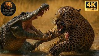 Cerrado Đẫm Lửa | Cuộc Chiến Không Khoan Nhượng Giữa Những Kẻ Săn Mồi - Thế giới động vật