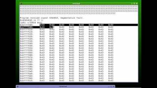 Buffer Overflow Tutorial - Part 6