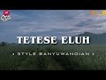 DJ TETESE ELUH • STYLE BANYUWANGIAN • SLOWBASS •