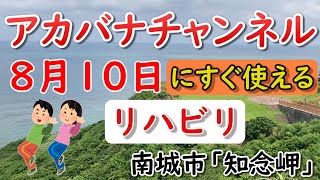 【8月10日にすぐ使える介護レク】アカバナチャンネル