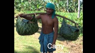 A DAY IN THE LIFE OF SAMOA