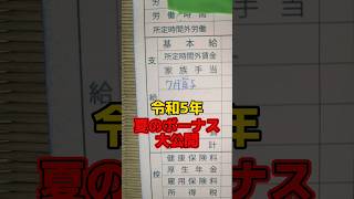 夏のボーナス大公開【令和5年】30歳独身一人暮らし