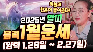 하늘의 기운! 천운이 들어온다~! 2025년 말띠운세! 음력 1월 (양력 1월 29일 ~ 2월 27일) [#자비원벼락대신]