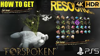 How to Get Tall Aster FORSPOKEN Tall Aster Location | PS5 Forspoken How to Get Tall Aster Location