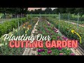 Planting a Quarter Acre of Cut Flowers for Our Summer Garden!