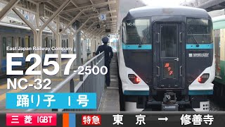 【全区間ﾊﾞｲﾉｰﾗﾙ走行音】E257系2500番台NC-32［三菱IGBT-VVVF］＜東海道本線・駿豆線＞［特急踊り子1号］東京→修善寺