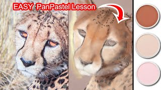 PANPASTEL BEGINNERS LESSON - How to use PanPastel - FUR UNDERLAYER