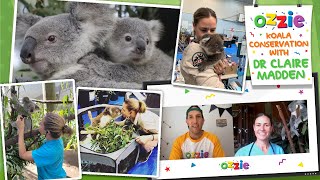 Learn About Koalas With Dr Claire \u0026 Ozzie | Educational Koala Conservation Video For Kids