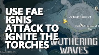 Use Fae Ignis attack to ignite the torches Wuthering Waves