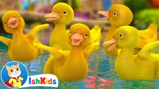 Five Little Ducks | Nursery Rhymes & Kids Songs | IshKids
