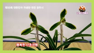 [자생란대전] 24년 대한민국 자생란 대전 /장려상 주금소심 동광/ 동상 두화색설 원홍설 복륜복색 문수봉