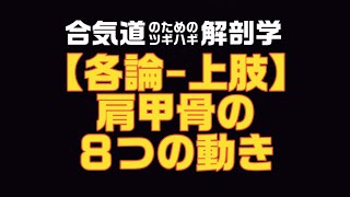 20/02/18【各論-上肢】肩甲骨の８つの動き