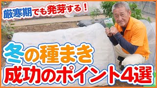 Tips for Germinating Vegetable Seeds in Extremely Cold Seasons Learned from Japanese Farmers.